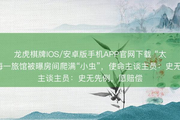 龙虎棋牌IOS/安卓版手机APP官网下载 “太恶心了！”上海一旅馆被曝房间爬满“小虫”，使命主谈主员：史无先例，愿赔偿