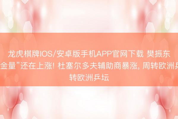 龙虎棋牌IOS/安卓版手机APP官网下载 樊振东“含金量”还在上涨! 杜塞尔多夫辅助商暴涨， 周转欧洲乒坛